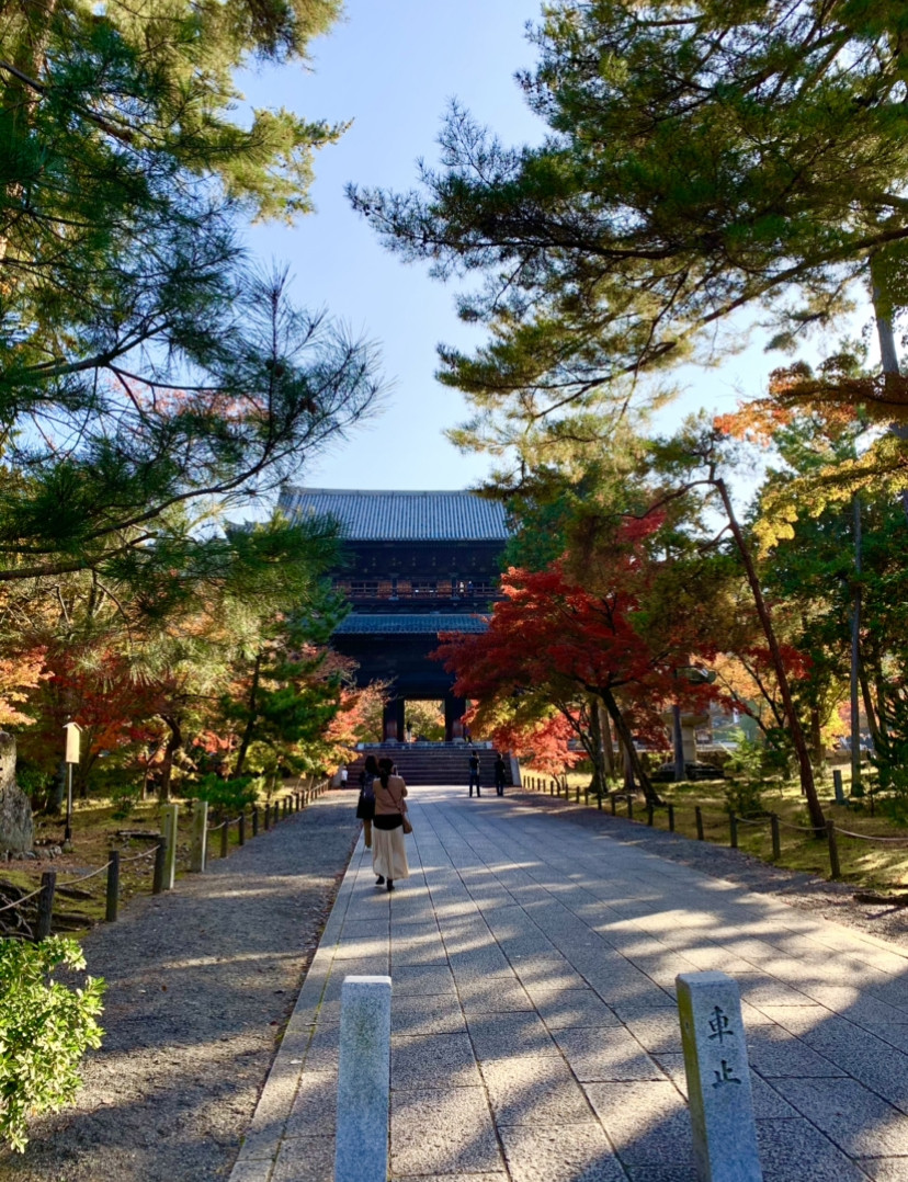 京都　永観堂の紅葉
